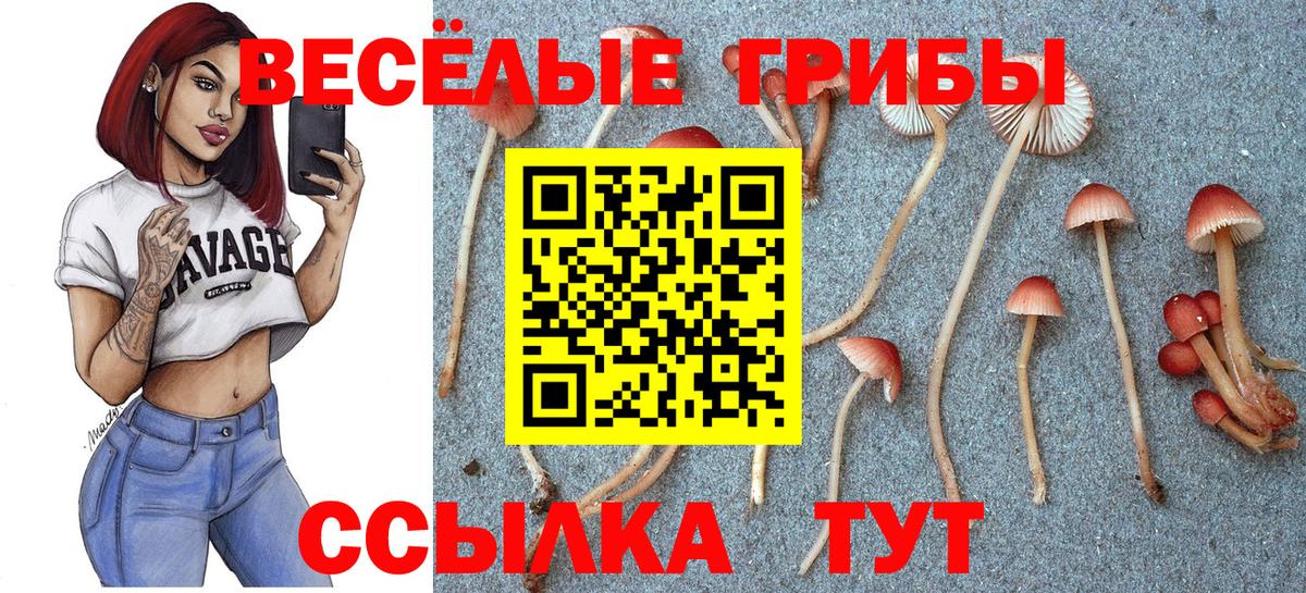 Ирбит  Псилоцибиновые грибы ЛСД  Вход с VPN 