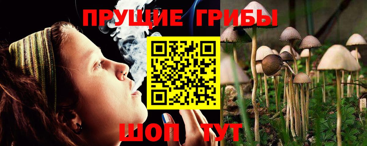Галлюциногенные грибы Magic Shrooms Ирбит